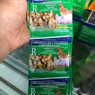 Úm gà con gói 5g AmBroxitil