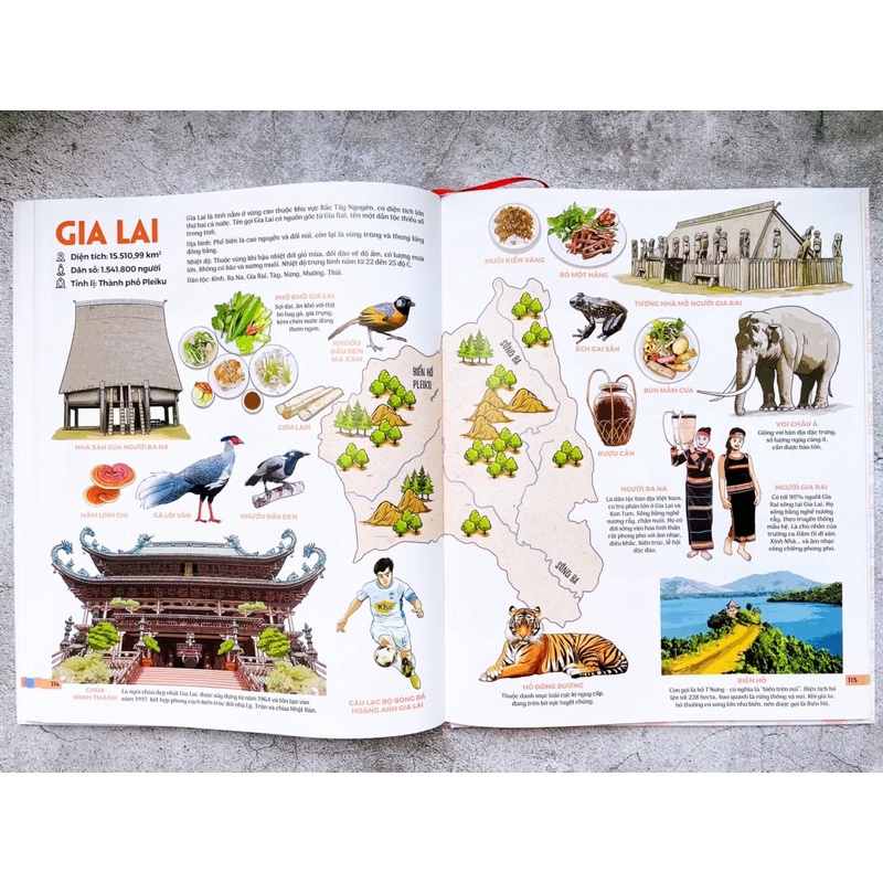 Sách-Đất nước gấm hoa - Atlas Việt Nam (Kỉ niệm 65 năm NXB Kim Đồng)