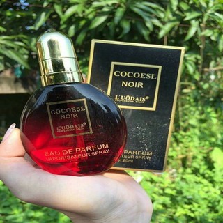Tinh dầu dưỡng tóc Cocoesl Noir 80ml