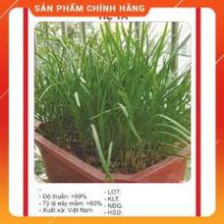 HẠT GIỐNG HẸ TA GÓI 10G.