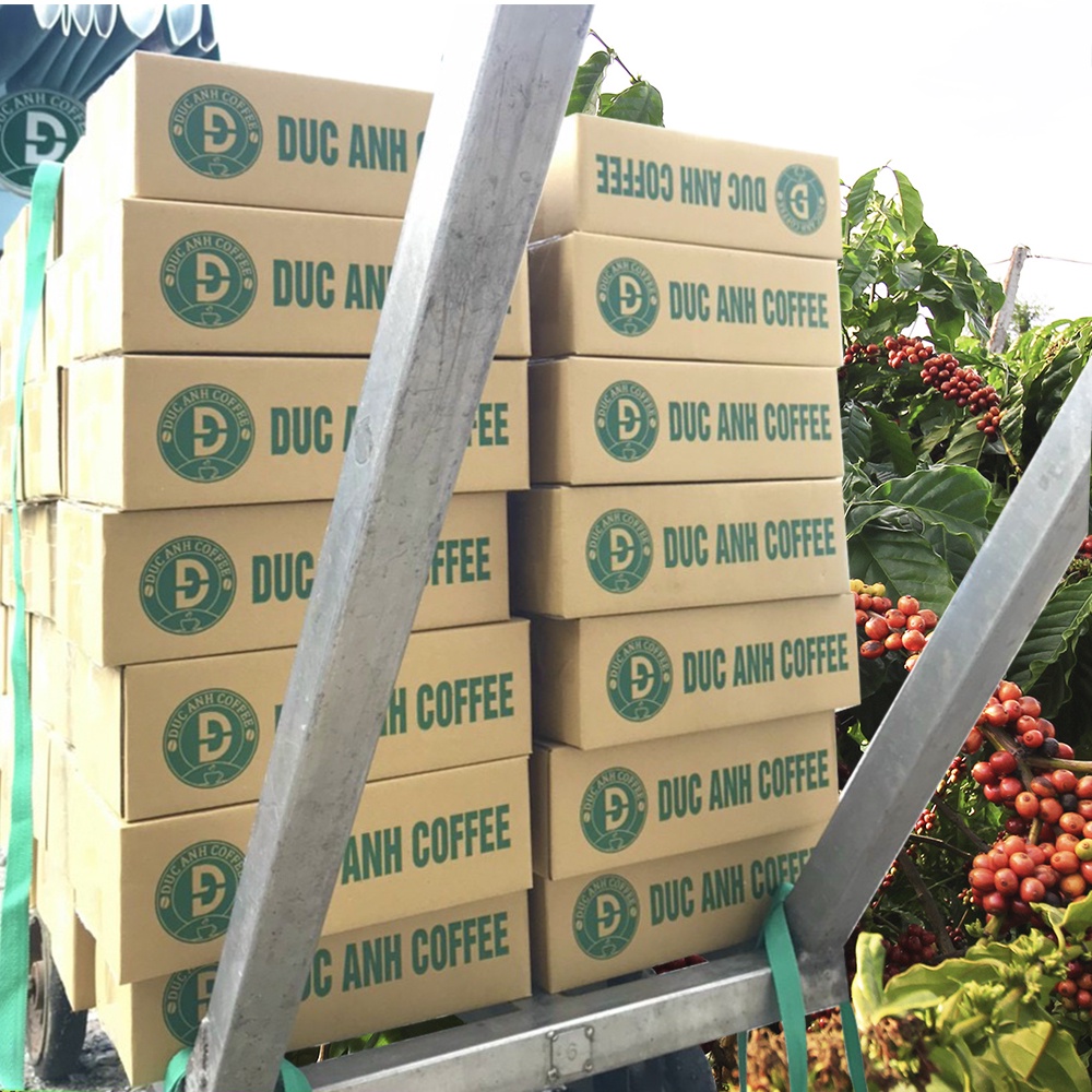 Cà Phê Rang Mộc 100% Robusta Đậm Vị, Cafein Cao dùng pha máy, pha phin Từ Buôn Ma Thuột - D COFFEE Thuộc Cà Phê Đức Anh