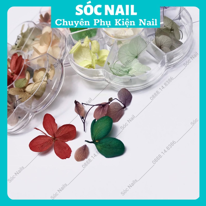 Hoa Khô Lụa Ẩn Móng Gel Nail Giá Rẻ,Hoa Trang Trí Móng Hàn Quốc 7 Màu