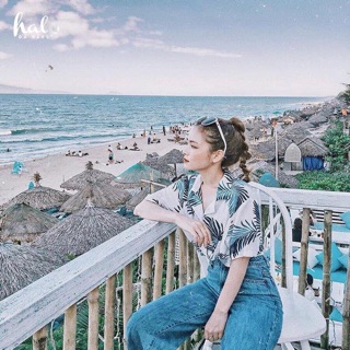 Áo đũi dừa tím than