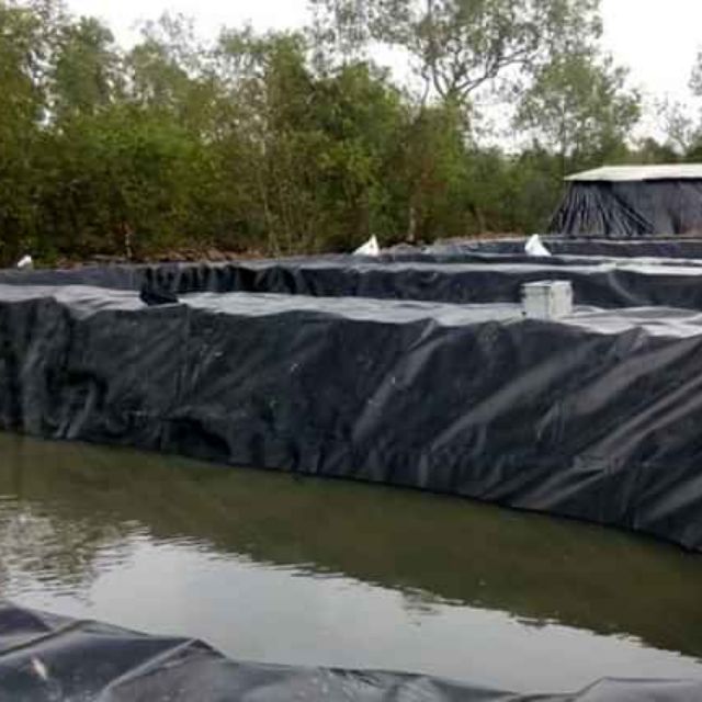 Bạt lót hồ, bạt lót hồ nuôi tôm cá bằng màng HDPE dày 0.5mm