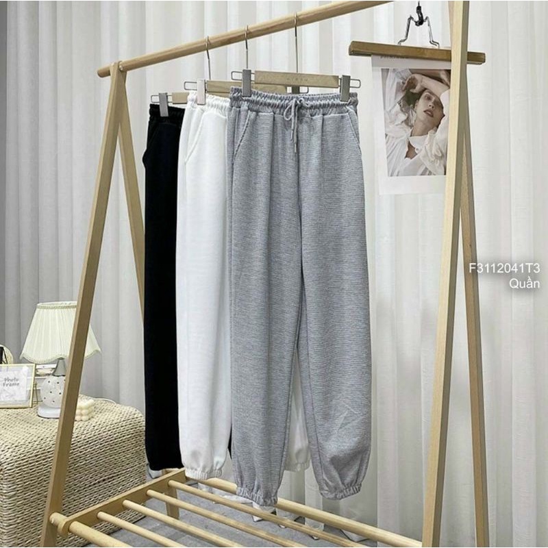 Quần jogger thun bo chun gấu hàng nhập Quảng Châu
