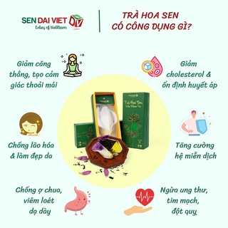 Trà Hoa Sen Sấy-Hộp Trà Cao Cấp,Trà Xanh Thượng Hạng-Sen Đại Việt-Hộp 16g