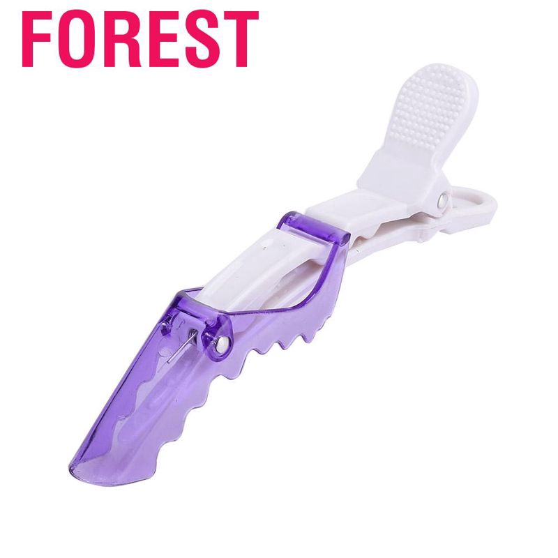 Set 10 kẹp tóc mỏ vịt chuyên dụng dành cho salon