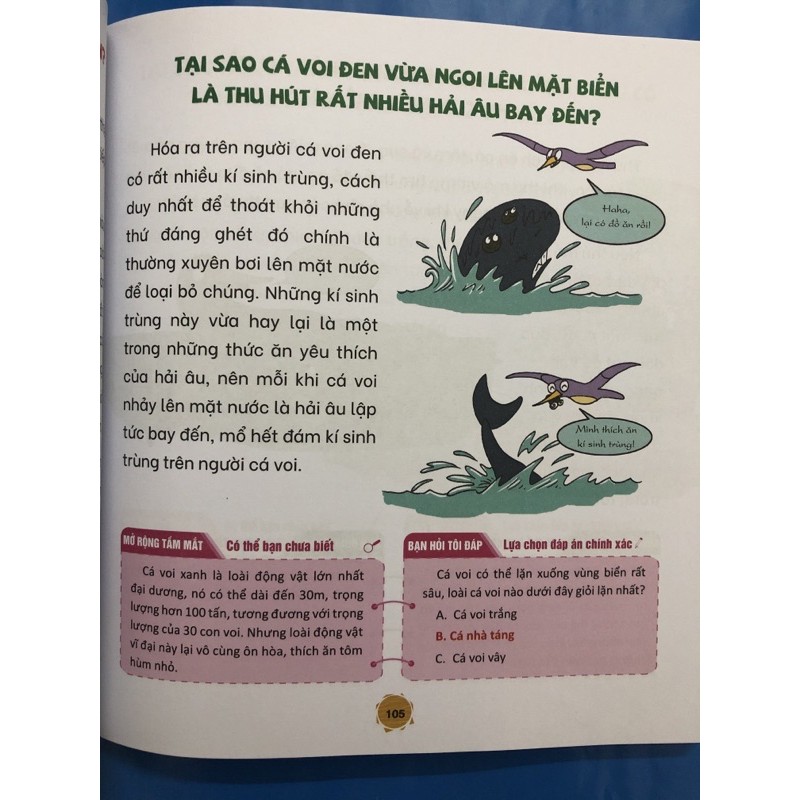 Sách - Bách khoa thiếu nhi 365 câu truyện trí tuệ hỏi đáp kiến thức thiên nhiên kỳ diệu