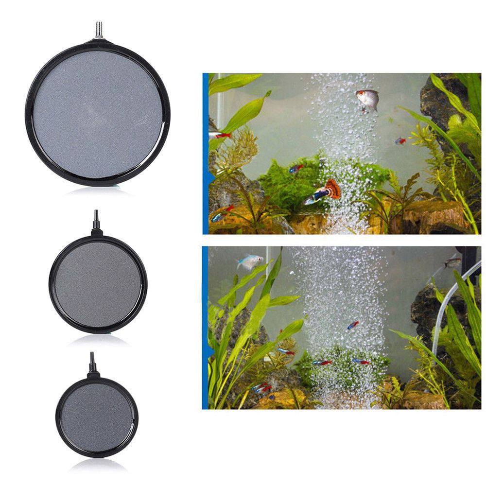 Tấm Sục Khí Oxy Cho Bể Cá