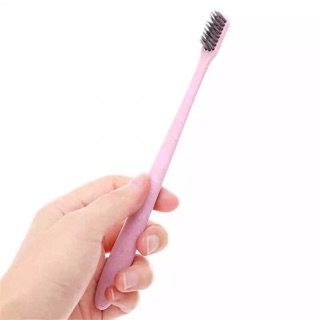 Bàn chải đánh răng lúa mạch 10 cây