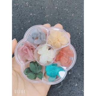 hoa khô ẩn gel
