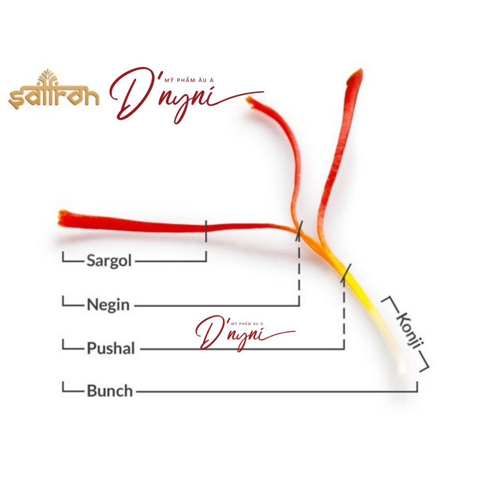 Saffron Market Nhụy Hoa Nghệ Tây Úc (