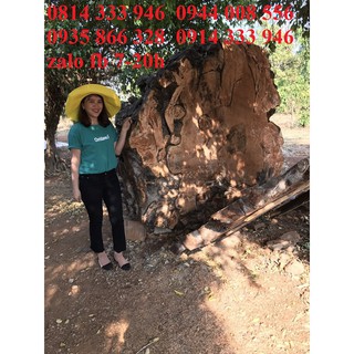 gỗ làm phản