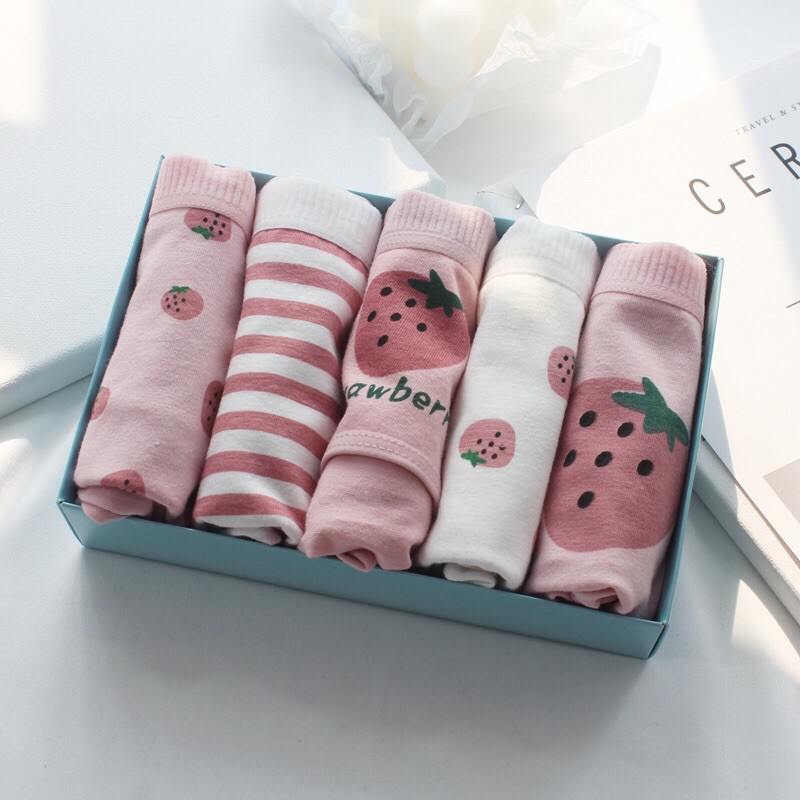 [SET 5C] 5 quần lót học sinh- sinh viên cotton  siêu dễ Thương DT