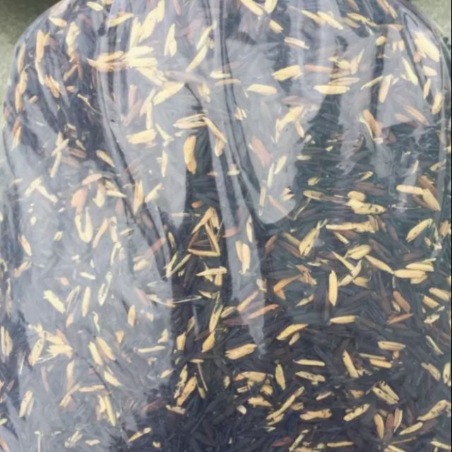 Trấu hun túi 500g
