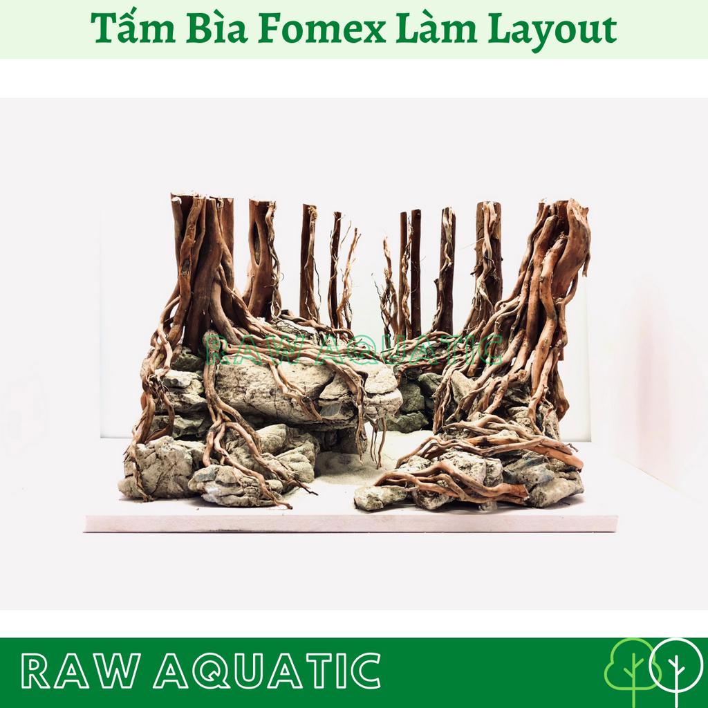 Tấm Bìa Fomex Dày 10mm Làm Đế Dán Layout Hồ Thủy Sinh