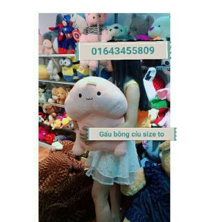 Cu ciu ( ảnh thật đằng sau )