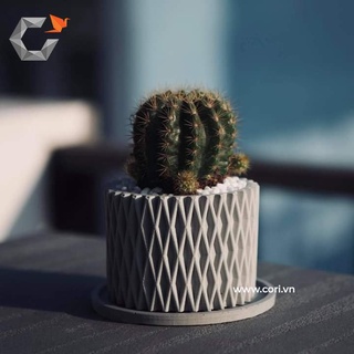 Chậu xi măng  mini Cori_ Structure (PL1004)