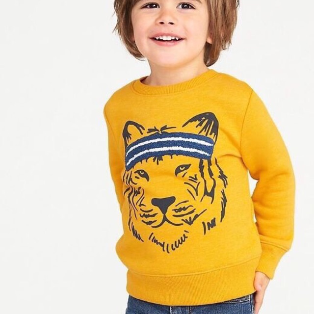 Áo nỉ Oldnavy bé trai