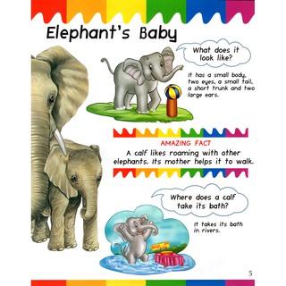 My First Questions & Answers - Baby Animals