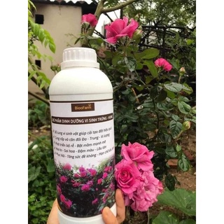 Vi sinh trứng 1 lít