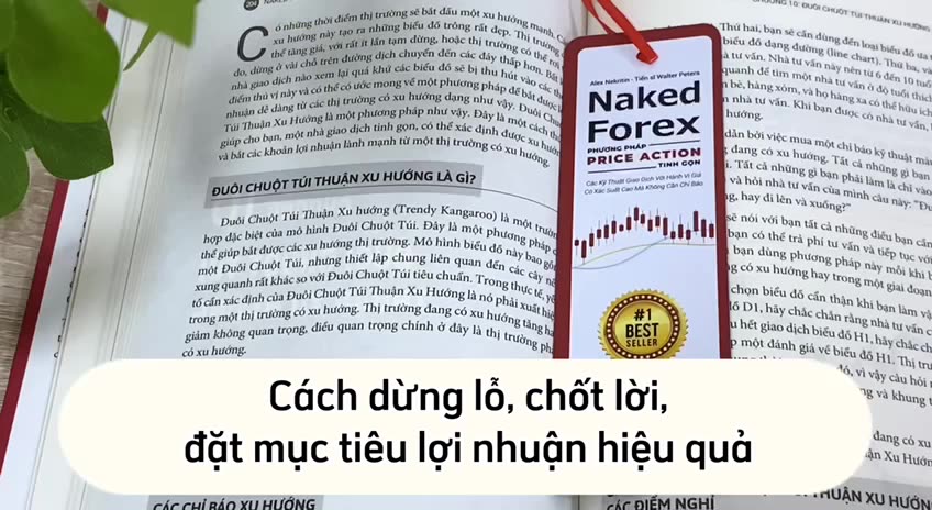 Sách Naked Forex - Phương pháp Price Action Tinh gọn | BigBuy360 - bigbuy360.vn