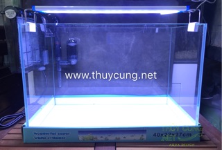 Đèn Led Bể cá siêu rẻ