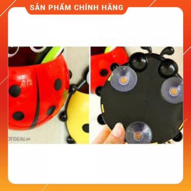 Combo 2 Bọ Cánh Cam Treo Bàn Chải