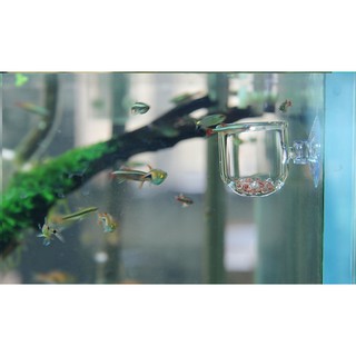 Ly Đựng Trùng Chỉ Cho Cá Ăn