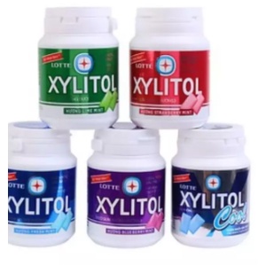 kẹo singum xylitol đủ vị không đường 58gr