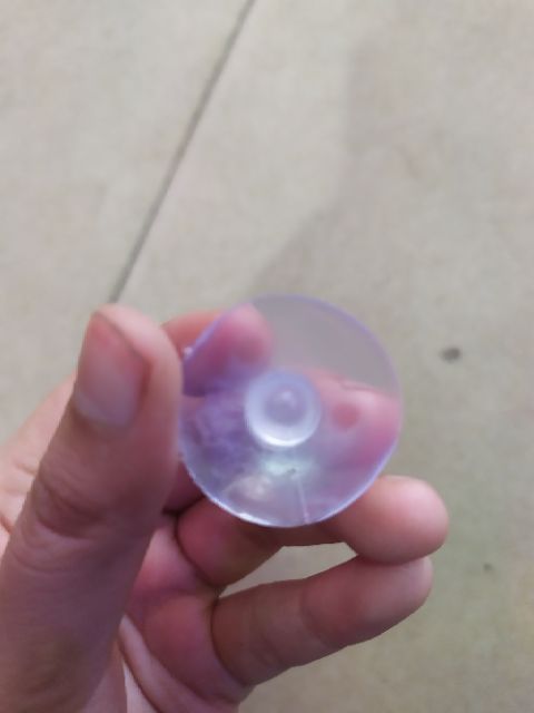 Hít kính cho máy bơm, máy lọc nước bể cá - 5k/1cái