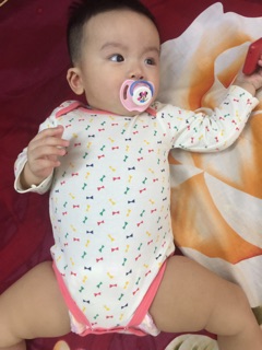 Body set 3 chiếc dài tay cho bé 0-12 tháng (mẫu Cú )