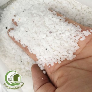 Đá sỏi trắng vụn mini lót đáy lọc hồ cá