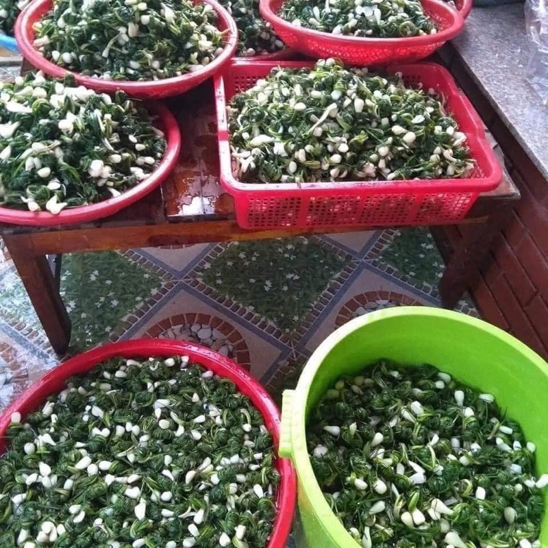 Kiệu lá cuốn ngâm mắm ớt -Kiệu cuốn đặc sản ở Vĩnh Linh - Quảng Trị