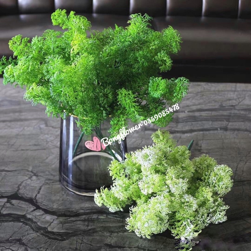 Cụm dong mốc trang trí cắm điểm siêu xinh - cỏ giả
