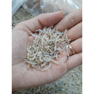 Cá Cơm Mờm Sữa 5 lạng (500gram) - Ca Cơm Mờm Nha Trang