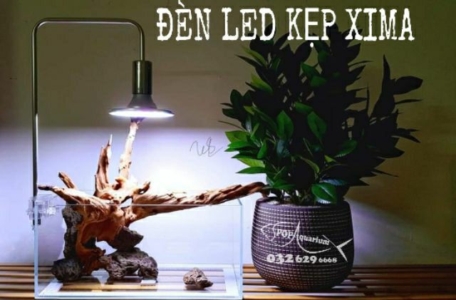 Đèn kẹp Xima 20w và 40w - Đèn led kẹp bể thủy sinh- Đèn bán cạn- Đèn thủy sinh bán cạn