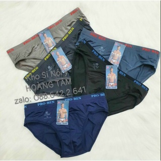 SET 10 QUẦN SỊP PROBEN THUN LẠNH PB03
