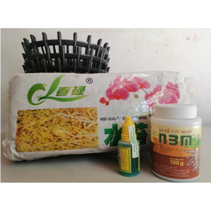 COMBO 5 CHẬU NHỰA GIẢ GỖ FI23 + 1 TẢO KHÔ (TẢO MỸ) + 1 B1 THÁI LAN 100ML + 1 CHẾ PHẨM HÙNG NGUYỄN