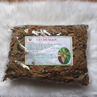 1kg Cây Đỏ Ngọn ( Cây thành ngạnh) tăng tuần hoàn não, ngừa xơ vữa động mạch