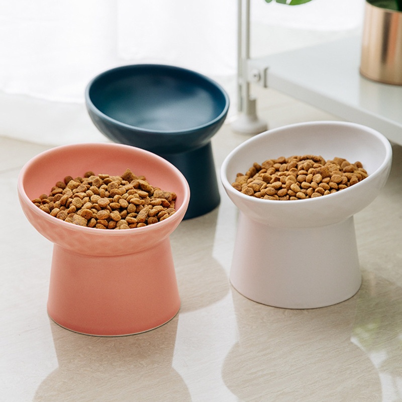 Bát Gốm Nhỏ May Mắn Bền Bỉ Dễ Lau Chùi Bảo Vệ Cột Sống Cho Mèo