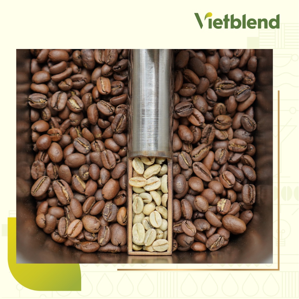Cà phê hạt nguyên chất Arabica Việt | Cà phê rang xay thượng hạng | BigBuy360 - bigbuy360.vn