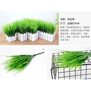 Cây lúa non - cây giả