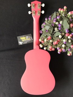 Ukulele KT-450