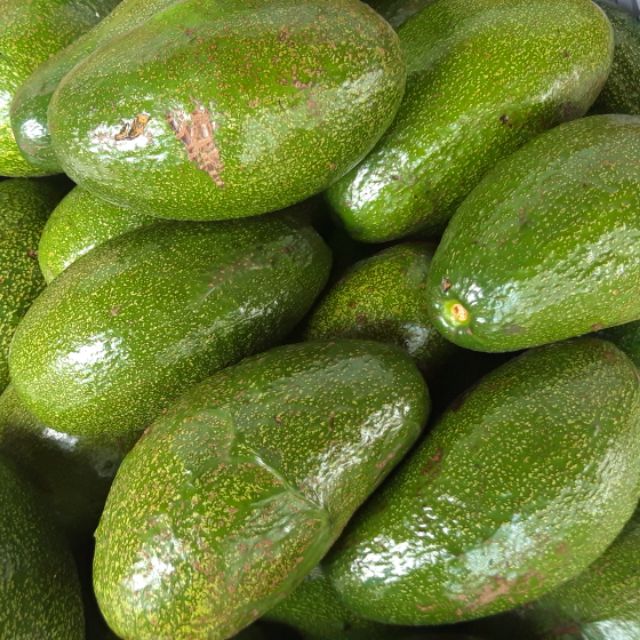 Bơ sáp cơm vàng