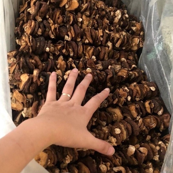Nấm Hương Khô Rừng Thiên Nhiên Rừng Tây Bắc - Ẩm Thực Hà Giang, Đặc Sản Tây Bắc | BigBuy360 - bigbuy360.vn