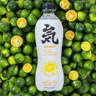 (2 vị) Nước Genki Forest Sparkling chai 280ml - 480ml [Sale Toàn Shop]