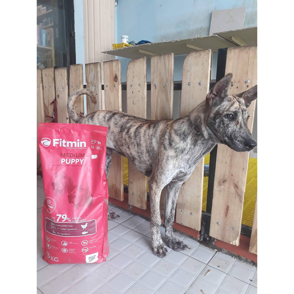 Thức ăn cho chó con Fitmin Dog Medium Puppy 3kg