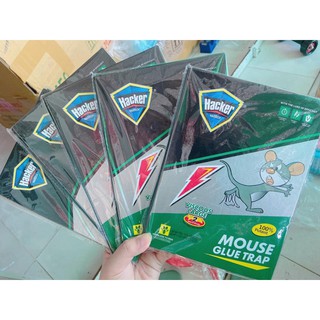 Miếng dính chuột siêu dính.ĐT.Lv