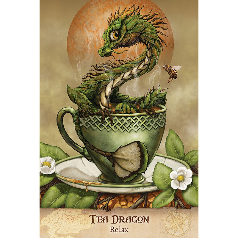 Bộ Bài Field Guide To Garden Dragons (Mystic House Tarot Shop)